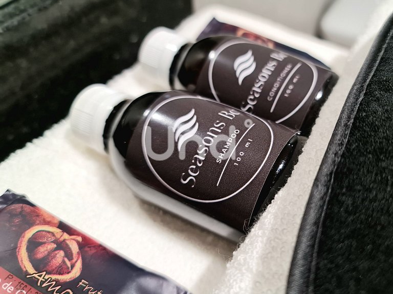 Apt 04 Balcony Seasons Bc